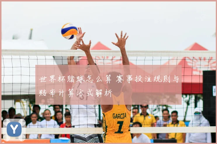 世界杯赌球怎么算 赛事投注规则与赔率计算方式解析