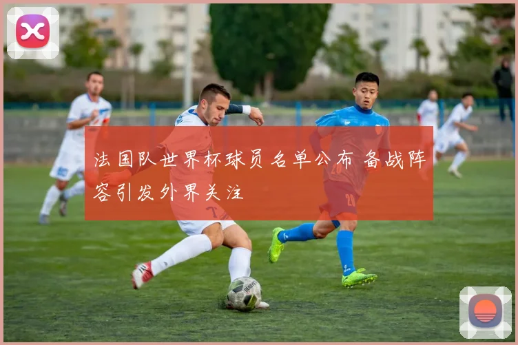 法国队世界杯球员名单公布 备战阵容引发外界关注