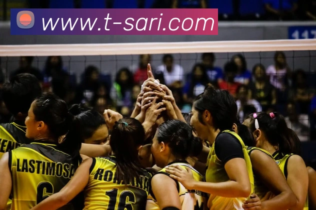 333体育官网是什么全站App 333体育官网是什么全站App